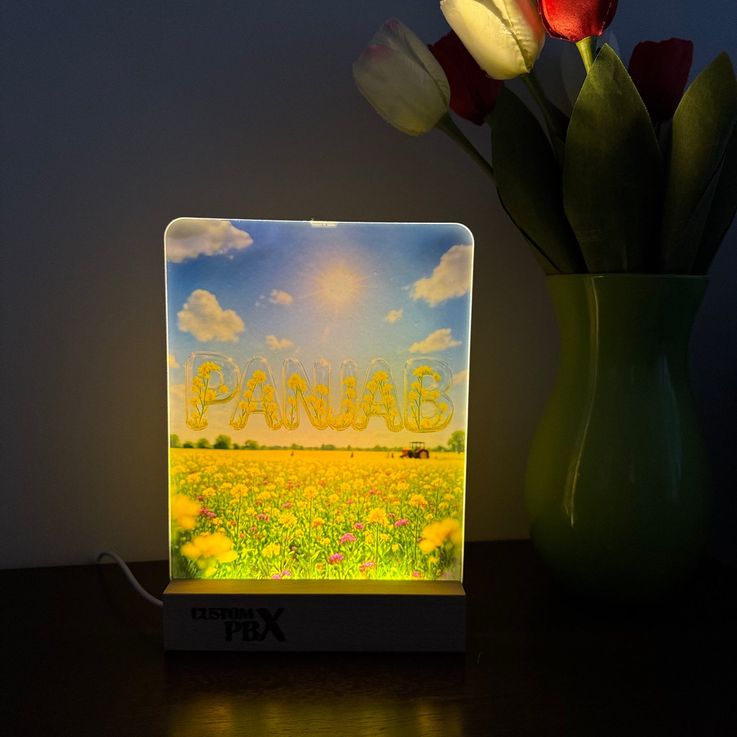 Glow Frame (Panjab Farm)