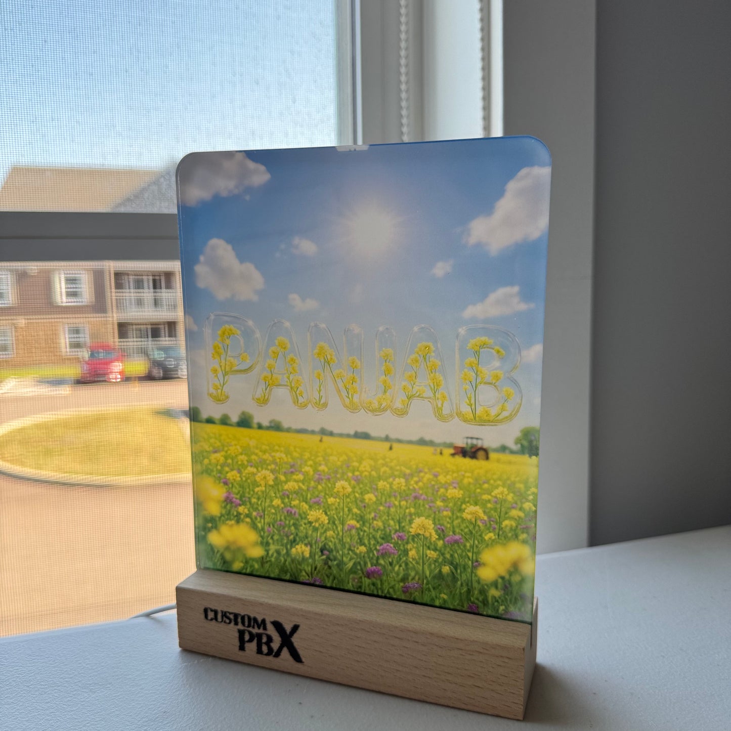 Glow Frame (Panjab Farm)